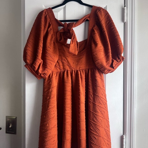 Rust Orange Textured Dress - Picture 2 of 2
